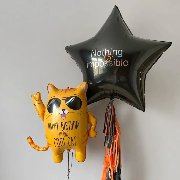 шар фигура cool cat и большая звезда